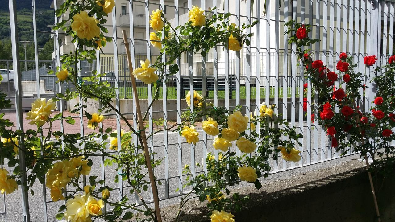 La Casa Del Grillo 1 Bed & Breakfast Aosta Ngoại thất bức ảnh